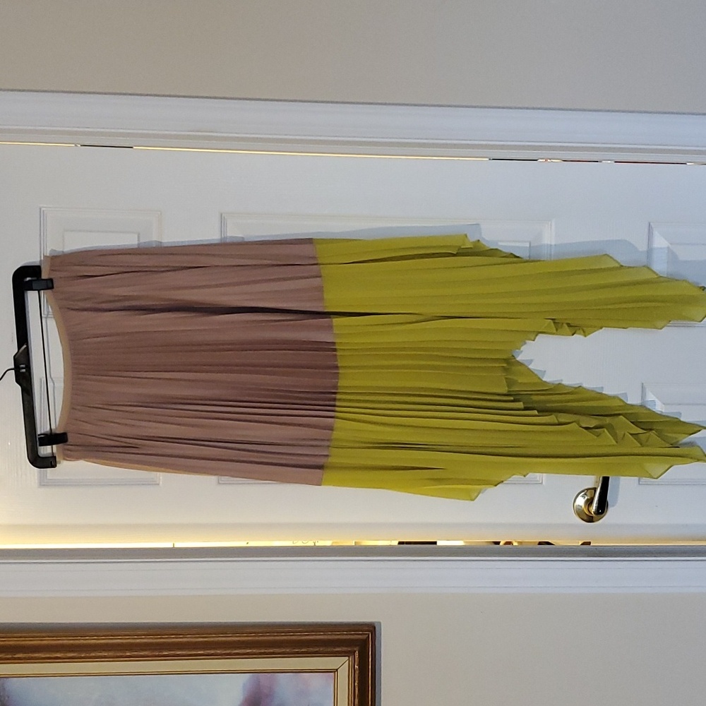 BCCG pleaded skirt